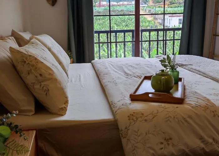 Casa Banana Sunset *